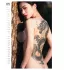 Tattoo Girls 2027 - erotische wandkalender (1 stuks)