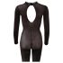 NO:XQSE - Exclusieve kattenpakje - M/L