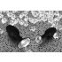 You2Toys - Diamond - siliconen anaal plug (klein)