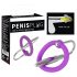 Penisplug - siliconen eikelring met urethra plug (paars-zilver)