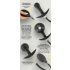 You2Toys - Opblaasbare anaalplug met balletjes (zwart)