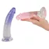 You2Toys - strap-on set - 2 dildo’s - verstelbare harnas