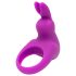Happyrabbit Cock Kit - vibrerende penisring met opbergetui (paars)
