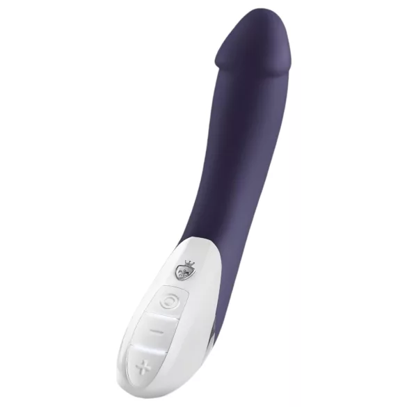 mystim - vibrator met 2 motoren - blauw