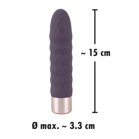 You2Toys - vibrator staaf - oplaadbaar - paars