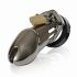 CB-6000 - Luxe peniskooi met slot (chroom)