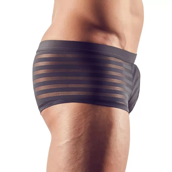 Mannenboxer - transparant - gestreept - zwart - XXL