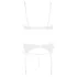 Abierta Fina - bh set - transparant kanten design - zwart - 80B/M