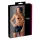 Cottelli - minirok met gesp - glanzend - zwart - M