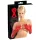 LATEX - lange unisex handschoenen - rood - L