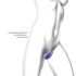 Wonderlover - G-spot en clitoris vibrator (metaal paars)