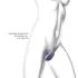Love to Love Wonderlover - G-punt vibrator, clitorisstimulator (donkerpaars)