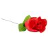 Panty Rose - Verleidelijke string in roos - Rood (S-L)