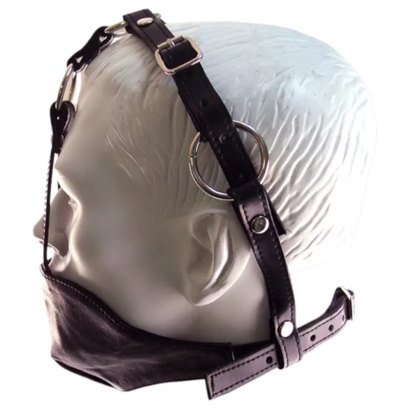 Rouge - leren mask en mondknevel - zwart