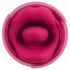You2Toys Oral Fun - tongvormige clitorisstimulator (roze)