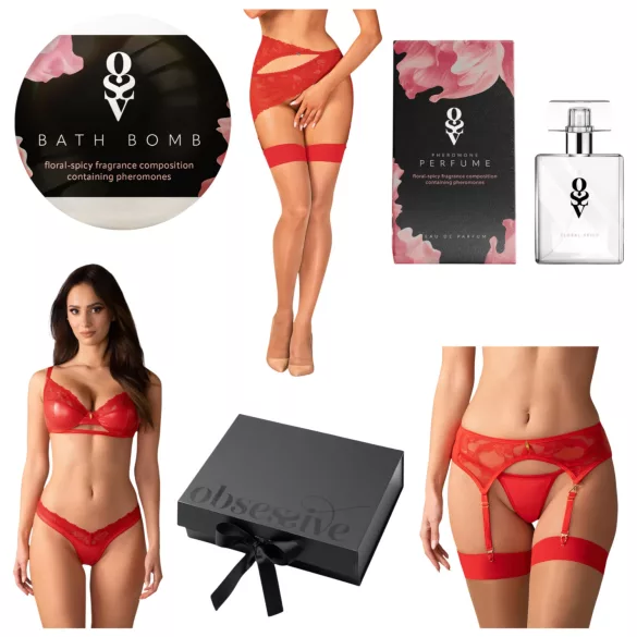 Obsessive Aloisa - lingerie cadeau box - 6-delig - rood - L/XL