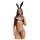 Obsessive Night Bunny - vierdelig konijnenpakje voor vrouwen (zwart)