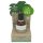 Coconutoil Bio - Huidolie na Scheren & Ontharen (50ml)
