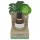 Coconutoil - Natuurlijke Aftershave Olie - Ontharen - Bio - 50ml