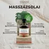 Coconutoil - biologische glij- en massageolie - 80ml
