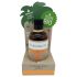 Coconutoil - Bio Bronsolie (80ml)