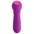 FemmeFunn - mini vibrator - krachtig en oplaadbaar - siliconen paars