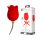 Pretty Love Rose Lover - 2in1 clitorisstimulator met tong (rood)