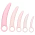 CalExotics Inspire - vaginadilatator set - siliconen - roze