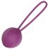 Engily Ross Leigh - siliconen Kegelballen (paars)