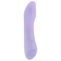   Playboy Euphoria - Oplaadbare, waterdichte G-spot vibrator (paars)