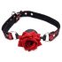 Master Series - Roze, siliconen mondknevel (rood)