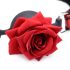 Master Series - Roze, siliconen mondknevel (rood)