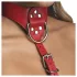 Strict - halter lichaamsharnas (rood) - M/L