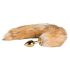 Easytoys Fox NO1 - metalen anaalplug met vossenstaart (goud-rood)
