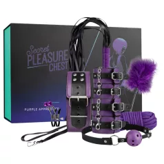Secret Pleasure Chest - gevorderde BDSM-set (14-delig)