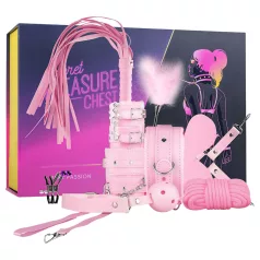   Secret Pleasure Chest - gevorderde BDSM-set - 14-delig (roze)