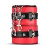 Secret Pleasure Chest - BDSM set voor gevorderden - 10-delig - rood