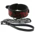 Dreamtoys Blaze - halsband en riem set (rood)