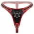 Easytoys - strap-on slip met drievoudige dildo - zwart