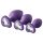 Flirts anale trainingsset - anale plugset (3 stuks) - paars