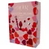 Dreamtoys Amour - anale trainingscadeauset (rood)