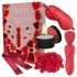 Dreamtoys Amour - wandvibrator set (rood)