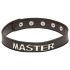 X-Play Meester - BDSM Halsband (zwart)