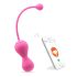 Magic Motion Kegel Master - Slimme duo geisha ballen (paars)