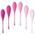 FEELZTOYS Femmefit - 6-delige Geishaballen-Set