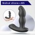 Aixiasia Hiross - draaibare anale vibrator (zwart)